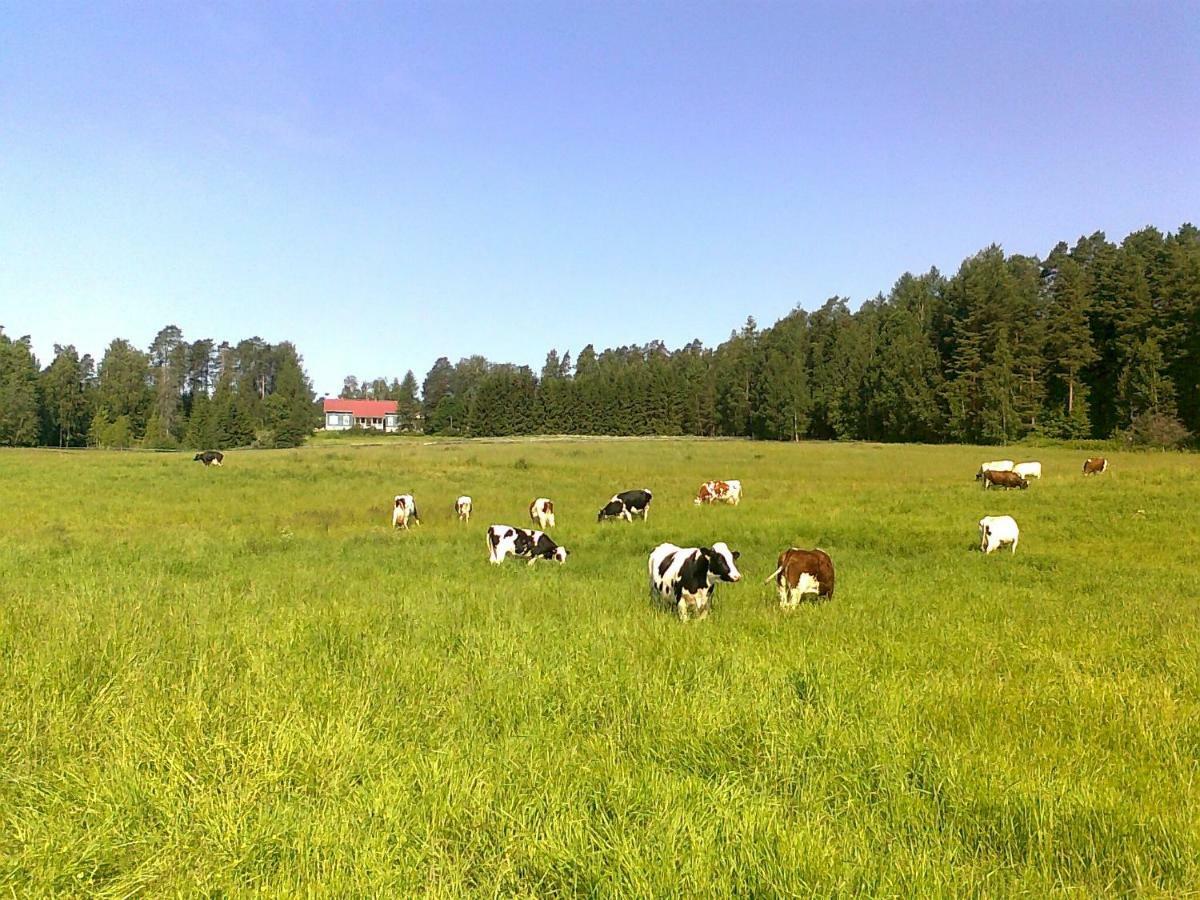 Lomakoivulehto Villa Saarijarvi Exterior photo